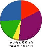 清藤水道 貸借対照表 2009年12月期