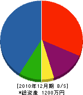 久保田宝樹造園 貸借対照表 2010年12月期