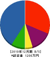 久保田宝樹造園 貸借対照表 2010年12月期 久保田宝樹造園 貸借対照表 2010年12月期