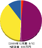 早田建設 貸借対照表 2009年12月期