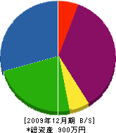 斉藤電気商会 貸借対照表 2009年12月期