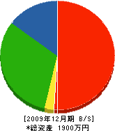 太城工務店 貸借対照表 2009年12月期