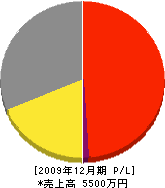 嶋田建設 損益計算書 2009年12月期