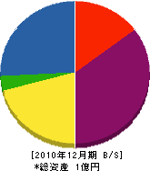 大功土木 貸借対照表 2010年12月期