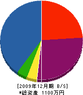 中川建材興業 貸借対照表 2009年12月期