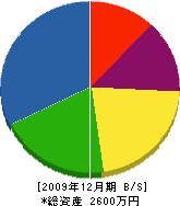 山並マンマルホーム 貸借対照表 2009年12月期