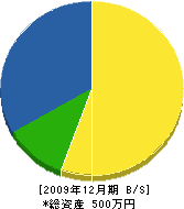 菅谷花樹園 貸借対照表 2009年12月期