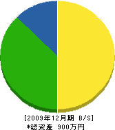 庄孝建設 貸借対照表 2009年12月期