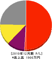 真田電工 損益計算書 2010年12月期