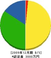 日昇電業 貸借対照表 2009年12月期