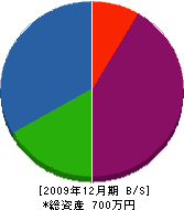 ユーザー商会 貸借対照表 2009年12月期