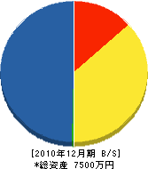 野田建設 貸借対照表 2010年12月期
