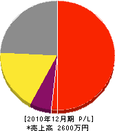 村井瓦屋根工事店 損益計算書 2010年12月期