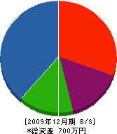 ヤマシナ建工 貸借対照表 2009年12月期