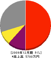 橋本電業 損益計算書 2009年12月期