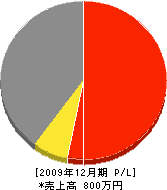 坂本建築 損益計算書 2009年12月期