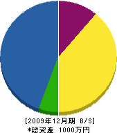 宮奥左官工業 貸借対照表 2009年12月期