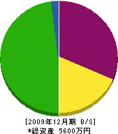 浦川工務店 貸借対照表 2009年12月期