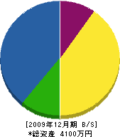 谷川建設 貸借対照表 2009年12月期