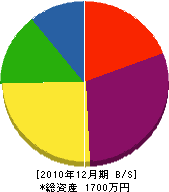 神﨑組 貸借対照表 2010年12月期