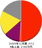 齋藤畳店 損益計算書 2009年12月期