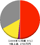 エムジェイ 損益計算書 2009年12月期 エムジェイ 損益計算書 2009年12月期