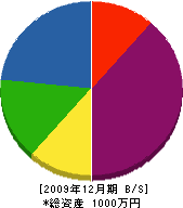 甲斐畳店 貸借対照表 2009年12月期