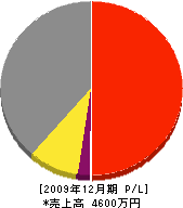 山崎ポンプ店 損益計算書 2009年12月期