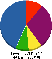 新誠工業 貸借対照表 2009年12月期