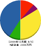 福田石材店 貸借対照表 2009年12月期