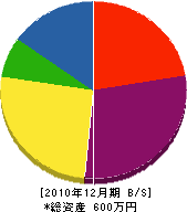 長嶋組 貸借対照表 2010年12月期