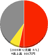 大川建築 損益計算書 2009年12月期
