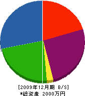 山野総合設備 貸借対照表 2009年12月期