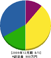 林田産業 貸借対照表 2009年12月期