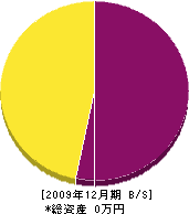 大川電気商会 貸借対照表 2009年12月期