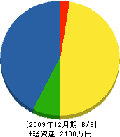 皆川商会 貸借対照表 2009年12月期