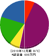 綾友建設 貸借対照表 2010年12月期