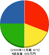 吉田電気 貸借対照表 2009年12月期