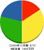 片倉工業 貸借対照表 2009年12月期