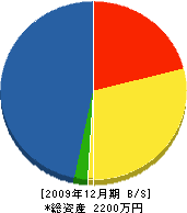 松尾商会 貸借対照表 2009年12月期