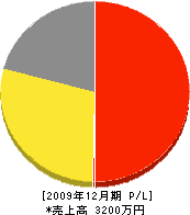 松本造園土木 損益計算書 2009年12月期
