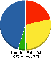 川上組 貸借対照表 2009年12月期