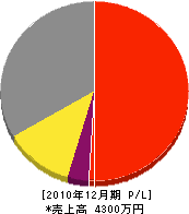 小松索道建設 損益計算書 2010年12月期