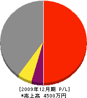 丸川土木 損益計算書 2009年12月期