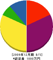 小野水道工事店 貸借対照表 2009年12月期