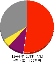 斉藤電気商会 損益計算書 2009年12月期