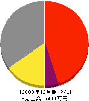 菅谷製作所 損益計算書 2009年12月期