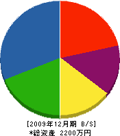 笠井設備工業 貸借対照表 2009年12月期