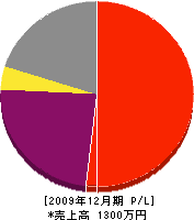 ＊造園 損益計算書 2009年12月期