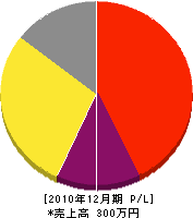 インテリア城 損益計算書 2010年12月期